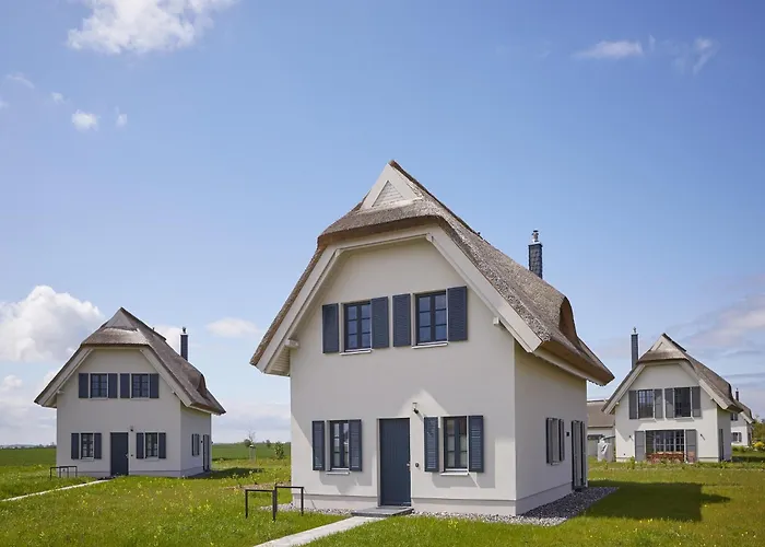 Reetland Am - Premium Reetdachvilla Mit 3 Schlafzimmern, Sauna Und Kamin F09 Сasa de vacaciones Dranske